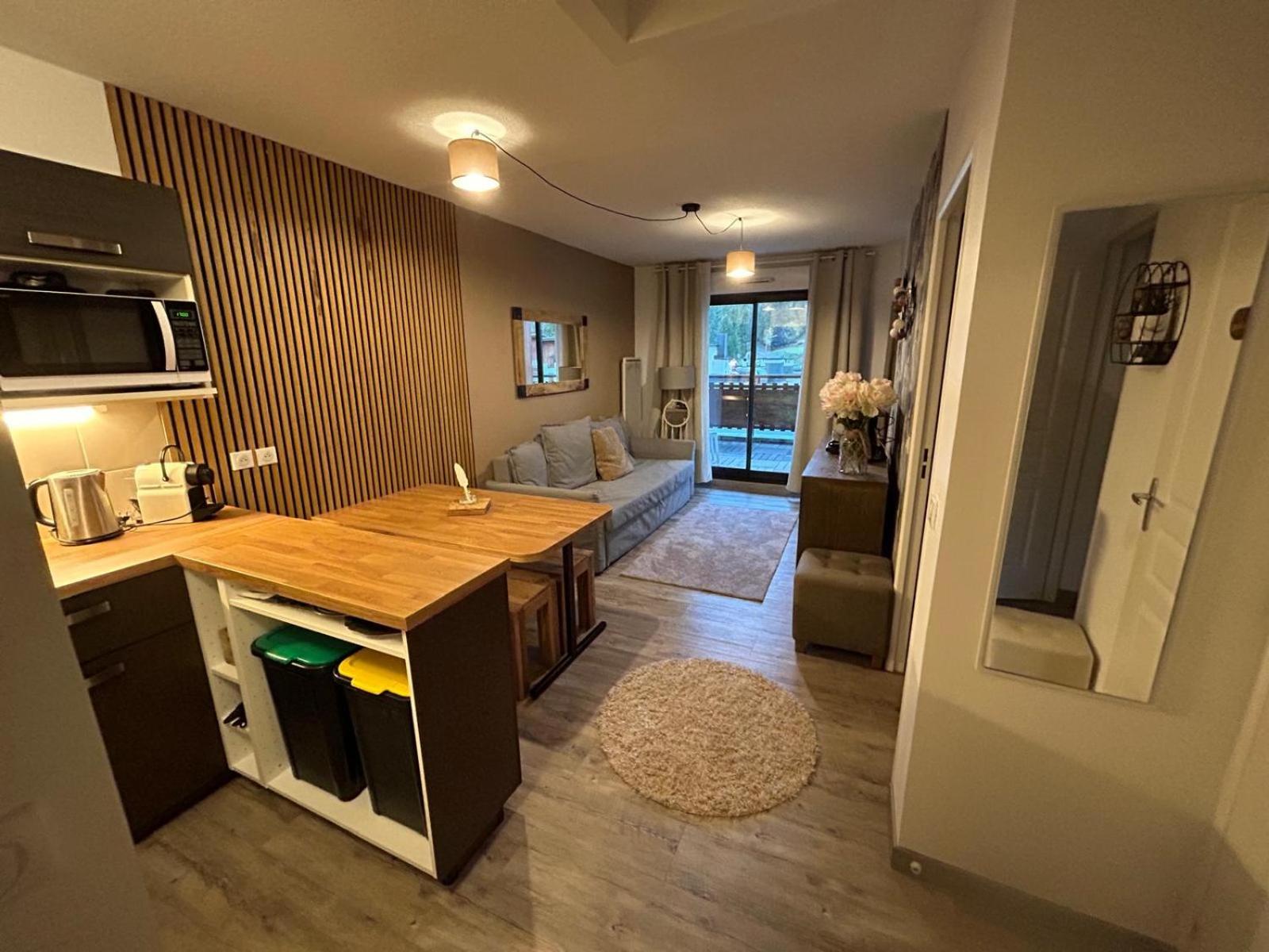 Superbe Appartement Avec Piscine Et Garage Péone 외부 사진